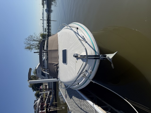 1998 SEA RAY 280 SUN SPORT  for sale at True North Yacht Sales & Service